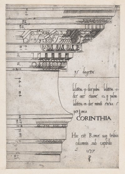 Speculum Romanae Magnificentiae:卡斯特和波吕克斯神庙的门板，罗马，1537年。 作者 PS大师