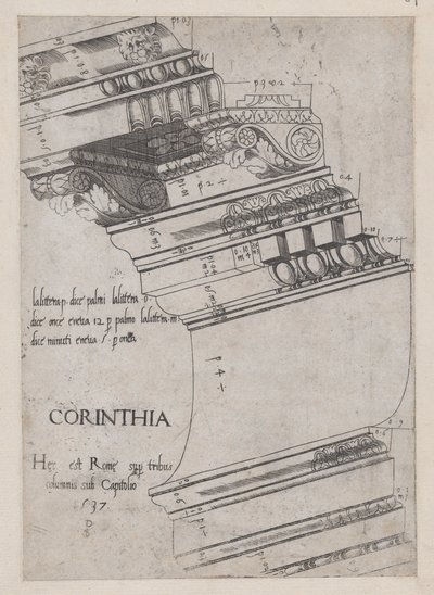Speculum Romanae Magnificentiae:来自维斯帕西亚神庙的门板，罗马，1537年。 作者 PS大师