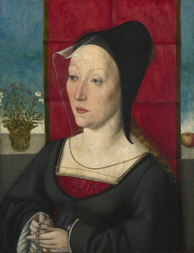 女人的画像，c。 1495 作者 科隆大师