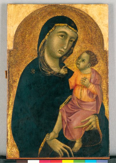 圣母与圣婴，约 1325 年（蛋彩画和金彩木板） 作者 圣托普大师