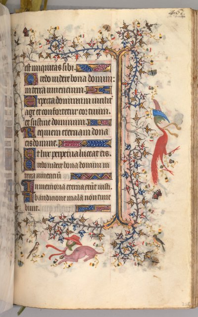 纳瓦拉国王（1361-1425）贵族查尔斯（Charles the Noble）的时间： 225r，文字，c。 1405。 作者 布鲁塞尔缩写和助理的硕士