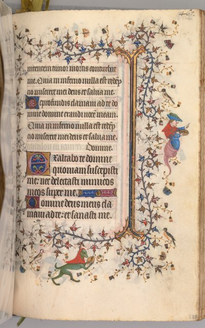 纳瓦拉国王（1361-1425）贵族查尔斯（Charles the Noble）的时间： 228r，文字，c。 1405。 作者 布鲁塞尔缩写和助理的硕士
