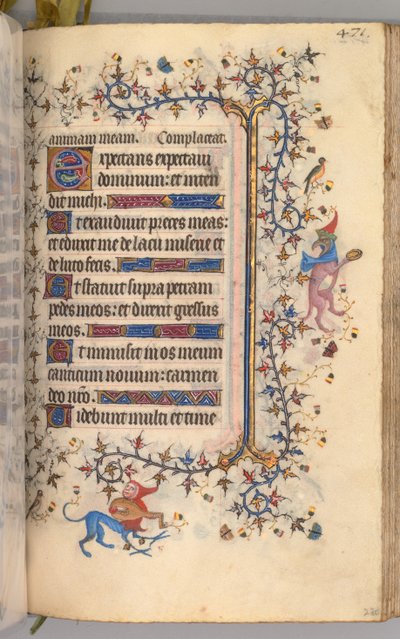 纳瓦拉国王（1361-1425）贵族查尔斯（Charles the Noble）的时间： 230r，文字，c。 1405。 作者 布鲁塞尔缩写和助理的硕士