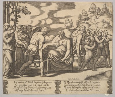 图版5：被抬上轿子的赛琪，来自《赛琪的寓言》，1530-60。 作者 死神大师