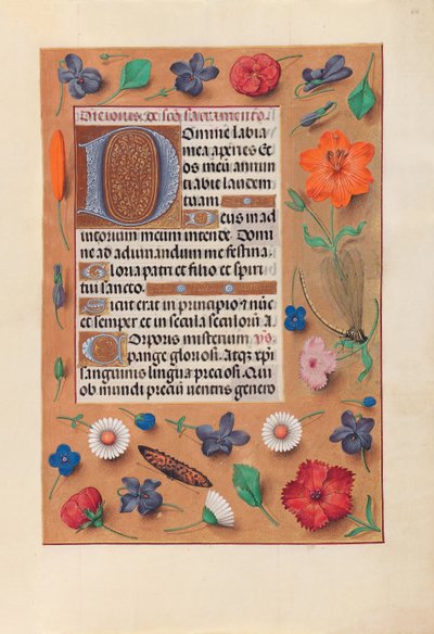 西班牙女王天主教伊莎贝拉女王的营业时间：Fol.44r，c。 1500。 作者 马克西米利安第一本祈祷书的硕士