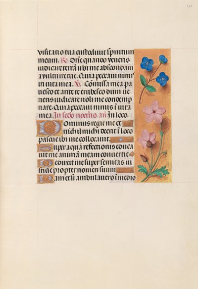 西班牙天主教女王伊莎贝拉的小时：  Fol.233r 作者 马克西米利安第一本祈祷书的硕士