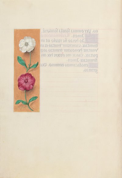 西班牙天主教女王伊莎贝拉的小时：  Fol.23v 作者 马克西米利安第一本祈祷书的硕士