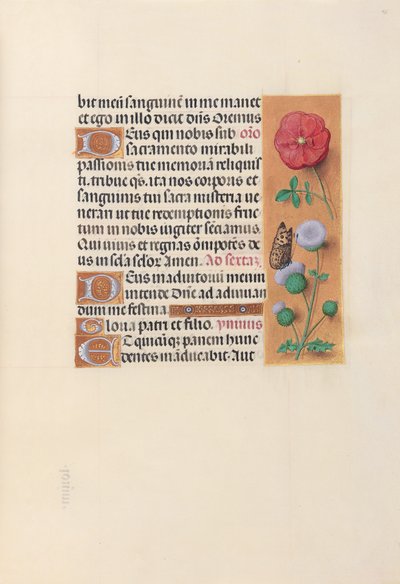 西班牙天主教女王伊莎贝拉的小时：  Fol.46r 作者 马克西米利安第一本祈祷书的硕士