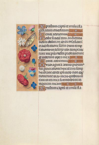 西班牙女王伊莎贝拉-天主教徒的时间：Fol.51v，约1500。 作者 马克西米利安第一本祈祷书的硕士