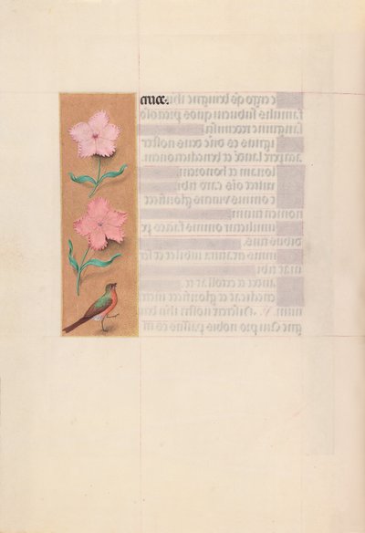 西班牙天主教女王伊莎贝拉的小时：  Fol.56v 作者 马克西米利安第一本祈祷书的硕士