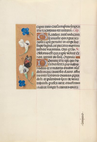 西班牙天主教女王伊莎贝拉的小时：  Fol.67v 作者 马克西米利安第一本祈祷书的硕士