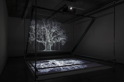 阿尔比恩，2017（投影仪、媒体播放器、脚手架、透明薄膜、木材、油漆、镜子、拉伸配件） 作者 马特·科利肖