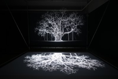 阿尔比恩，2023 年，伦敦邱园马特-科利肖的 "Petrichor "展览上（照片） 作者 马特·科利肖