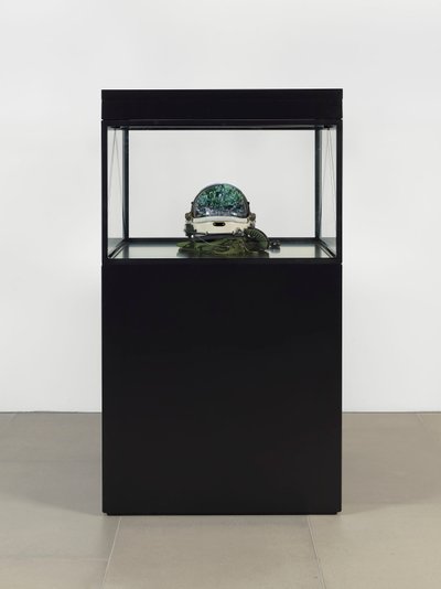 阿尔法-欧米茄，2016（玻璃、液晶屏、媒体播放器、仿制头骨、太空头盔、木材） 作者 马特·科利肖
