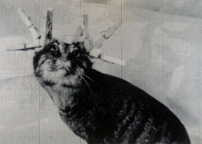 科罗纳，2001 年（瓷砖、水泥、木材） 作者 马特·科利肖
