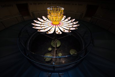 Equinox，2021（丙烯酸、电路、液压、漆、马达、油漆、回收树脂、钢材） 作者 马特·科利肖