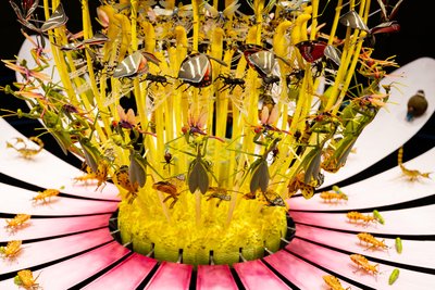 Equinox，2021（丙烯酸、电路、液压、漆、马达、油漆、回收树脂、钢材） 作者 马特·科利肖