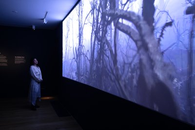 2023 年，伦敦邱园，马特-科利肖的 "Petrichor "展览上（照片）。 作者 马特·科利肖