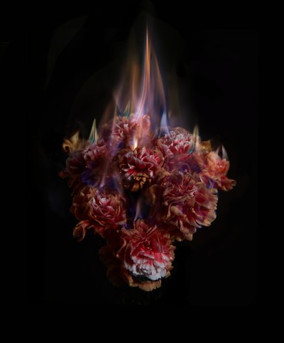 消逝的太阳记忆》，2013 年（C 型照片） 作者 马特·科利肖