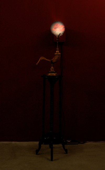 吹号器，2002 年（玻璃、水、黄铜、公羊号角、木材、视频投影仪和播放器） 作者 马特·科利肖