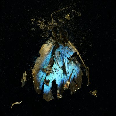 杀虫剂 16，2009 年（C 型照片） 作者 马特·科利肖