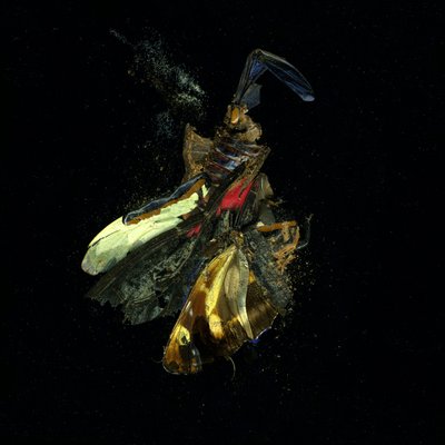 杀虫剂 18，2009 年（C 型照片） 作者 马特·科利肖