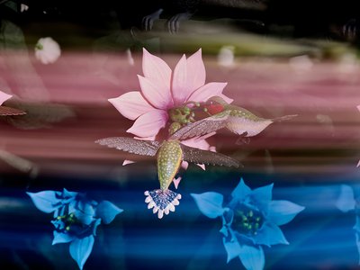 离心灵魂》，2016 年（亚克力、铝、钢、LED 灯、电机、电子电路、树脂和涂料） 作者 马特·科利肖