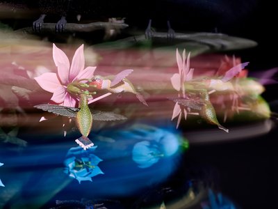 离心灵魂》，2016 年（亚克力、铝、钢、LED 灯、电机、电子电路、树脂和涂料） 作者 马特·科利肖