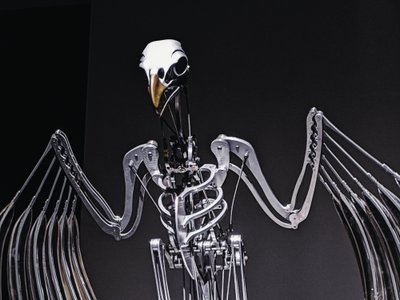 神经架，2019（乙缩醛、丙烯酸、铝、黄铜、电路、油漆、聚氯乙烯、树脂、伺服电机、钢） 作者 马特·科利肖