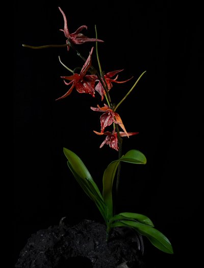 Venal Muse，Augean，2012 年（树脂、珐琅漆、木材、玻璃、钢材） 作者 马特·科利肖