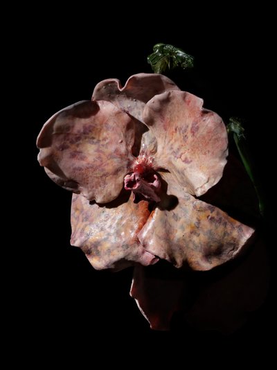 Venal Muse, Impetus, 2012（树脂、搪瓷漆、木材、玻璃、钢材） 作者 马特·科利肖