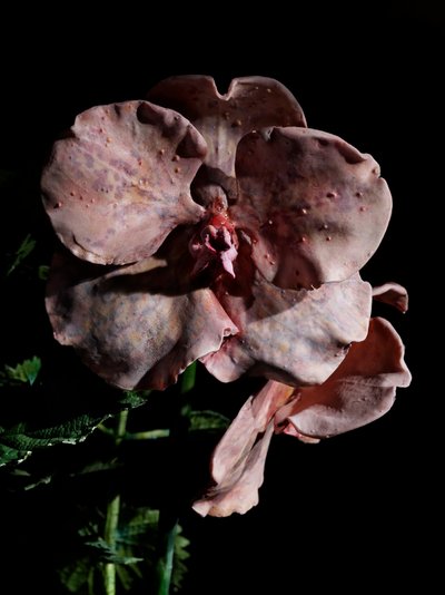 Venal Muse, Impetus, 2012（树脂、搪瓷漆、木材、玻璃、钢材） 作者 马特·科利肖