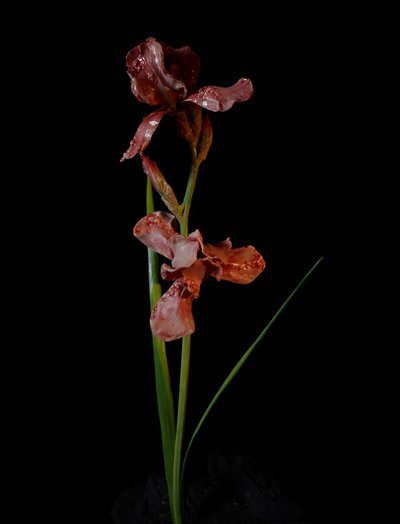 Venal Muse, Viridor, 2012（树脂、搪瓷漆、木材、玻璃、钢材） 作者 马特·科利肖