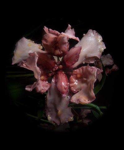 Venal Muse, Viridor, 2012（树脂、搪瓷漆、木材、玻璃、钢材） 作者 马特·科利肖