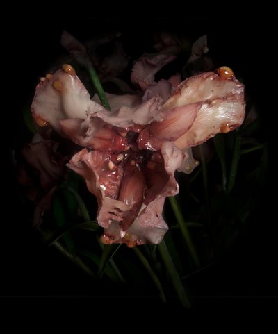 Venal Muse, Viridor, 2012（树脂、搪瓷漆、木材、玻璃、钢材） 作者 马特·科利肖
