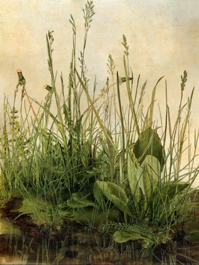 低语野草，2011 年（木框、边框、液晶屏幕、风扇和硬盘驱动器） 作者 马特·科利肖
