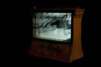 Wormery, 2009（木材、玻璃、钢、投影仪和播放器） 作者 马特·科利肖