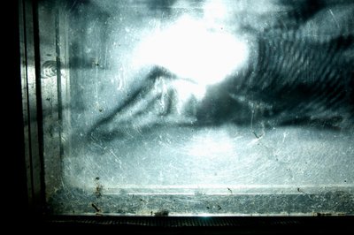 Wormery, 2009（木材、玻璃、钢、投影仪和播放器） 作者 马特·科利肖