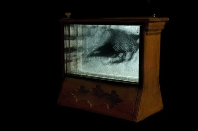 Wormery, 2009（木材、玻璃、钢、投影仪和播放器） 作者 马特·科利肖