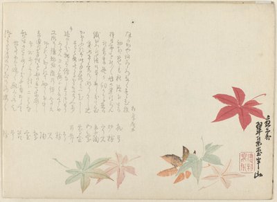 日本枫 作者 松川半山