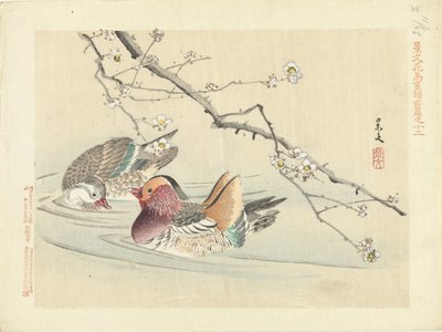 两只鸭子
Keibun 的花鸟素描--第一部分（系列标题）
Keibun kacho gafu zenpen（物体上的系列标题） 作者 青木小三郎