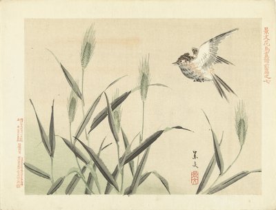 鸟儿在草丛中飞翔
Keibun 的花鸟素描--第一部分（系列标题）
Keibun kacho gafu zenpen（物体上的系列标题） 作者 青木小三郎