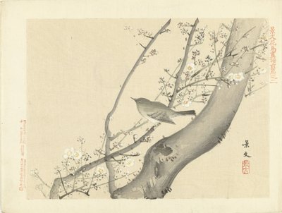 白花树上的小鸟
Keibun 的花鸟素描--第一部分（系列标题）
Keibun kacho gafu zenpen（物体上的系列标题） 作者 青木小三郎
