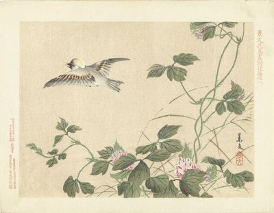 鸟儿在开着粉色花朵的爬山虎附近飞走了
Keibun 的花鸟速写--第三部分（系列标题）
Keibun kacho gafu kohen（物体上的系列标题） 作者 青木小三郎