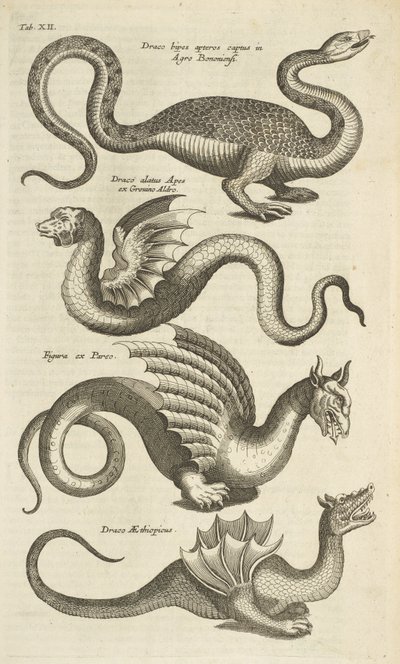 第十二页，神话生物，龙，插图选自《Historiæ naturalis de quadrupetibus》。 作者 Mattaus the Younger Merian