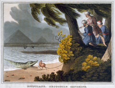 埃及人，抓鳄鱼》，1813年 作者 马修·杜伯格