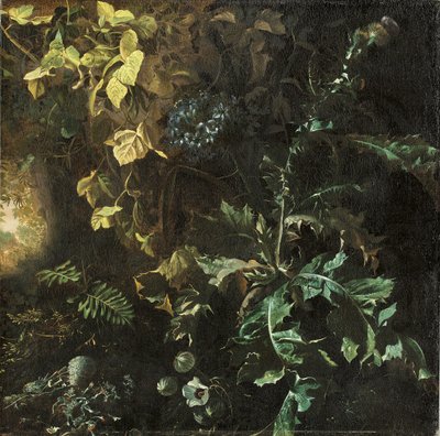 蓟和其他植物在森林的地面上，远处的风景，碎片 作者 马蒂亚斯·威斯（Matthias Withoos）