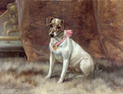 粉红色的弓，1898年 作者 莫德伯爵