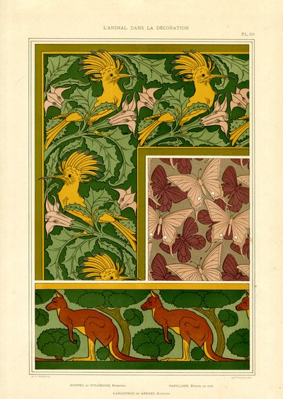 外来动物图案：鹦鹉、蝴蝶和袋鼠（石印版） 作者 莫里斯·皮拉德·维尔纽尔