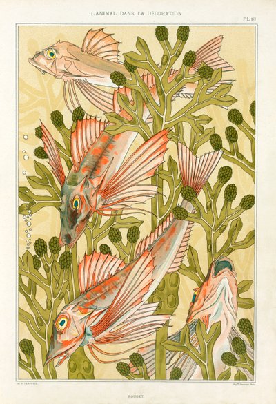 Red Mullet, pub.1897. 作者 莫里斯·皮拉德·维尔纽尔